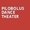 Pilobolus Dance Theater, Community Theatre, Morristown