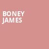 Boney James, Community Theatre, Morristown