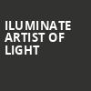 iLuminate Artist of Light, Community Theatre, Morristown